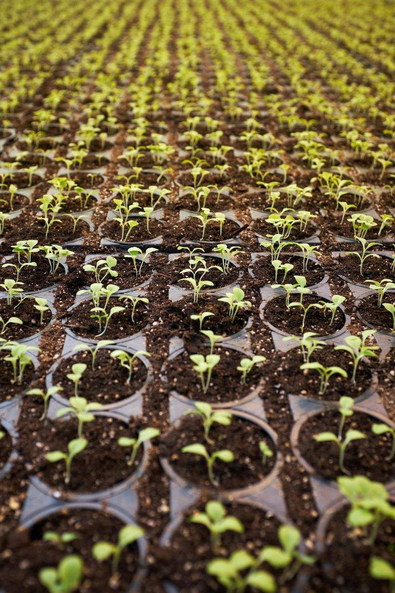 Frühjahrsstart im Garten: So wird die Fläche fit für die Saison