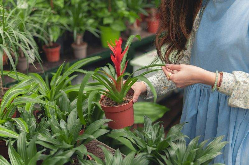 Ordnung auf Außenflächen: Warum regelmäßige Gartenarbeit den Unterschied macht