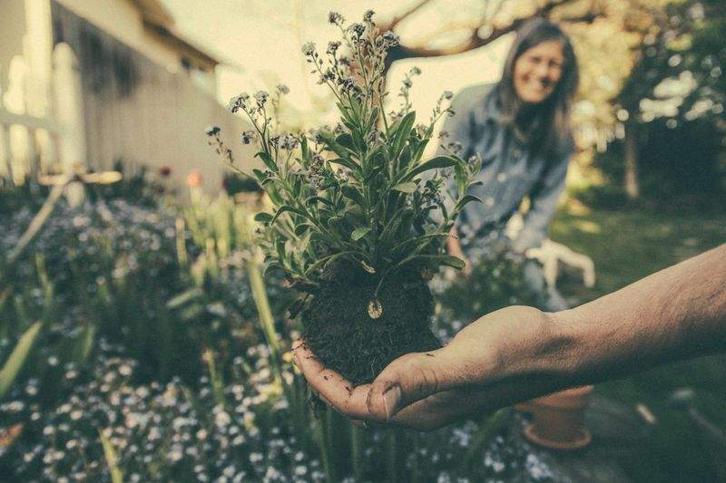 Grünraum Gartenpflege GmbH 13