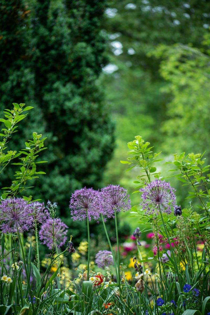 Grünraum Gartenpflege GmbH 5