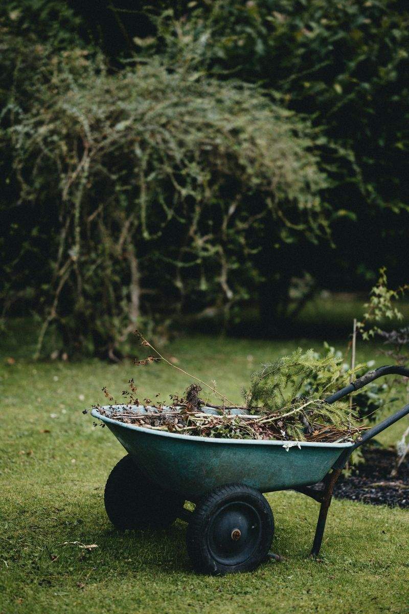 Grünraum Gartenpflege GmbH 6